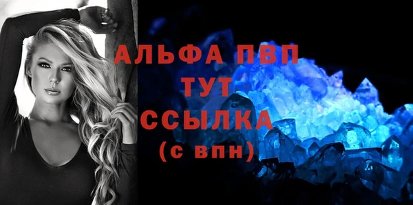 ECSTASY Кукмор