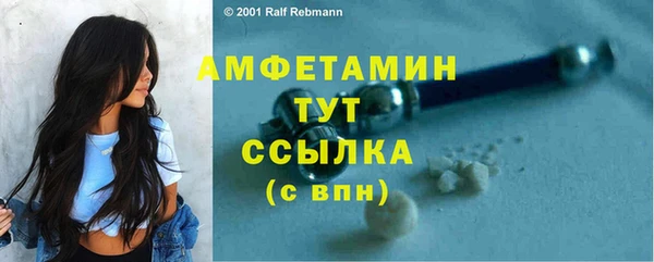 стафф Кулебаки