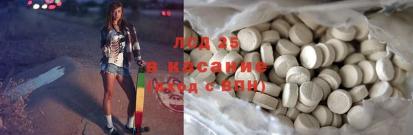 ECSTASY Кукмор