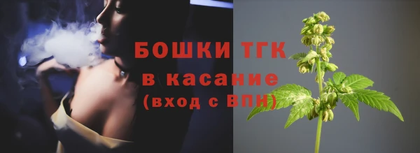 стафф Кулебаки
