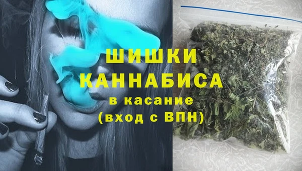 стафф Кулебаки