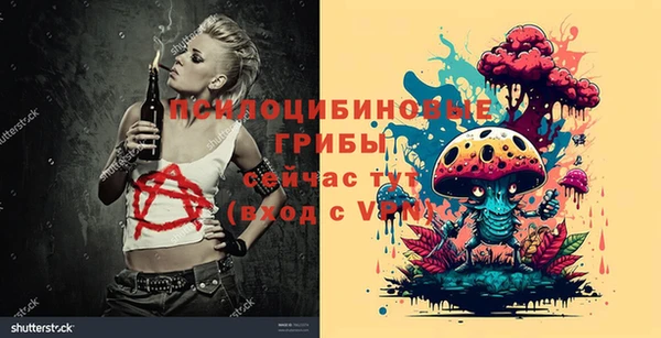 ECSTASY Кукмор