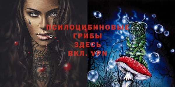 ECSTASY Кукмор
