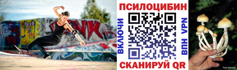 ОМГ ОМГ как зайти  Горячеводский  Галлюциногенные грибы GOLDEN TEACHER 